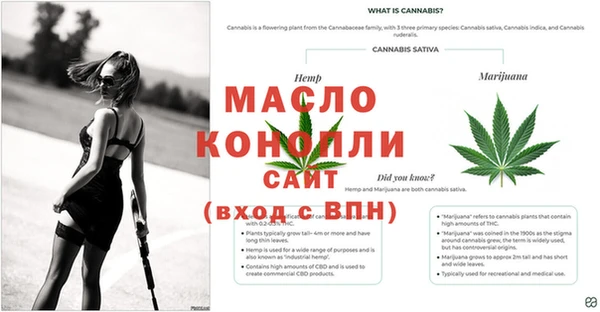гидропоника Алексеевка