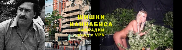 гидропоника Алексеевка