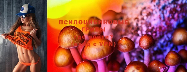 гидропоника Алексеевка