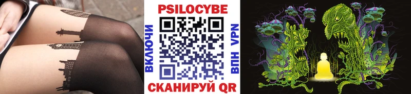 дарнет шоп  Сельцо  Псилоцибиновые грибы Cubensis 
